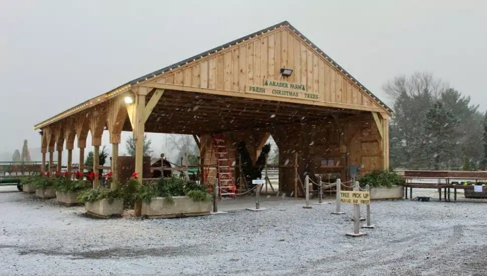 Snow falls around a wooden pavilion at Arader Farm, decorated with holiday greenery and signage for fresh Christmas trees and tree pickup.