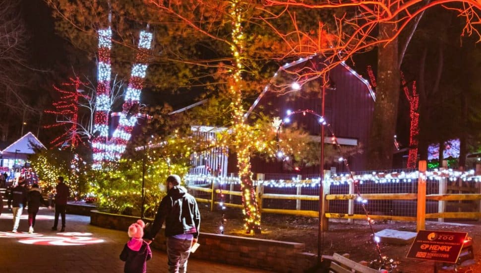People walk through a festive outdoor holiday light display at night, with trees wrapped in colorful lights and illuminated buildings in the background.