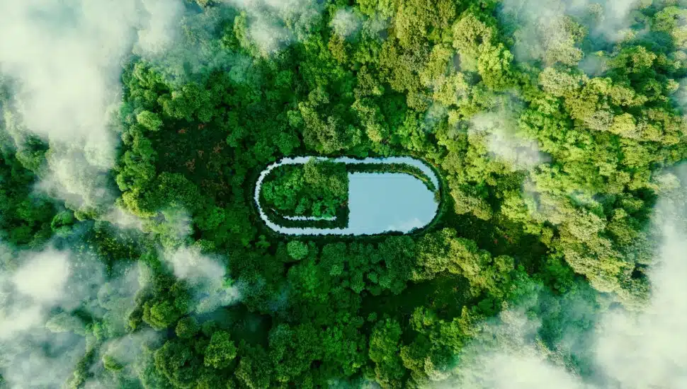 A pill-shaped water surface in the middle of lush nature.