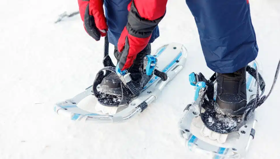 A person straps on their snowshoes.