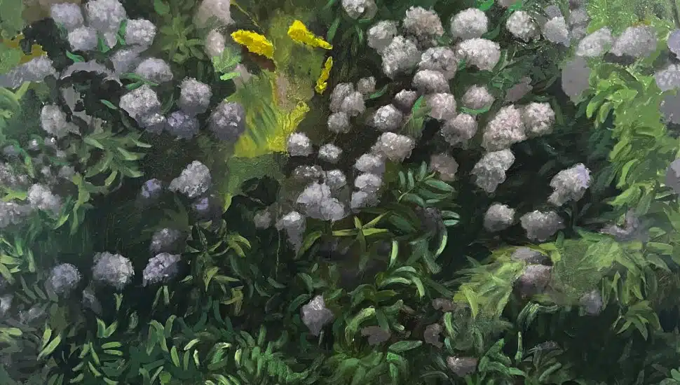 Green landscape painting with dense foliage and clusters of white flowering plants, featuring layered brushstrokes and dappled light, from the “Renewal” series by Zvezdana Stojmirovic (aka Ana Stoy).