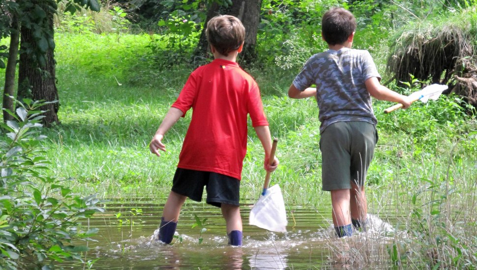 Two boys wade in a creek with fishing nets.