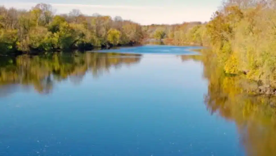 Greenery lines the Schuylkill River.