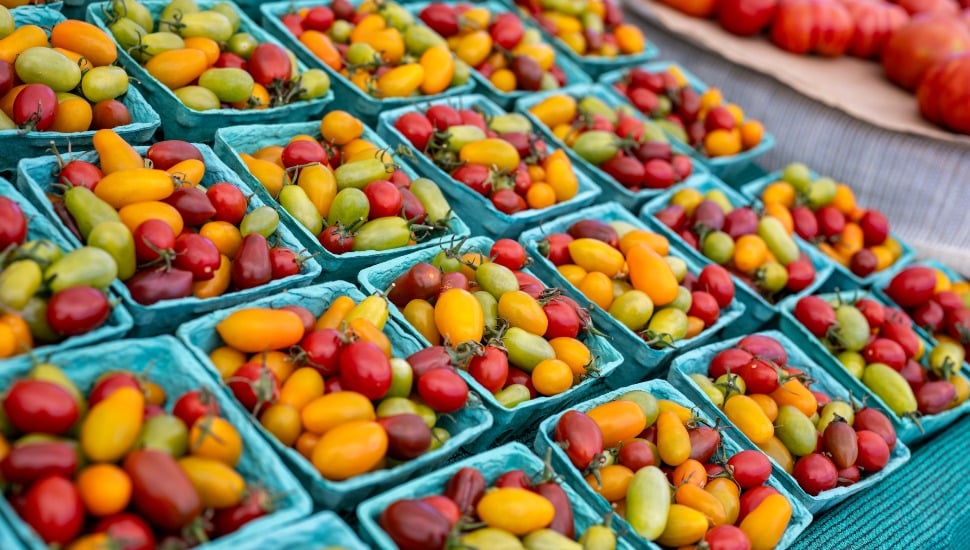 A table filled with vegetables at a farmer's market.