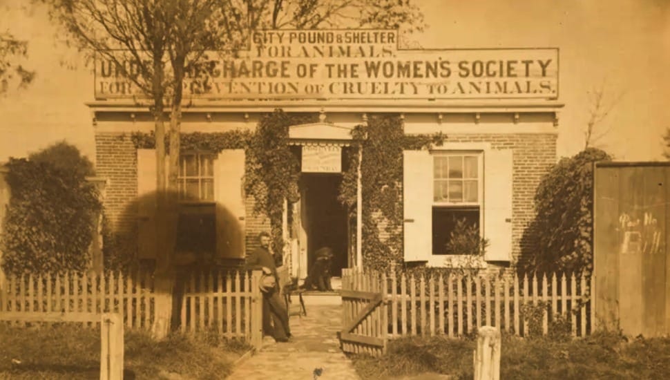 Bensalem’s Women’s Animal Center Marks 157 Years of Lifesaving Work
