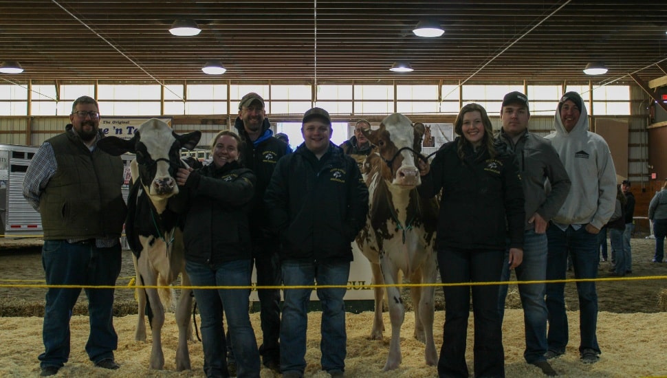 Dairy Club students stand with cows at dairy sale.
