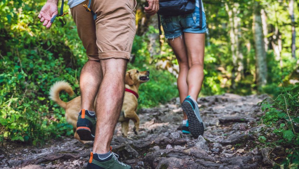 Couple with a small yellow dog hiking in forest.