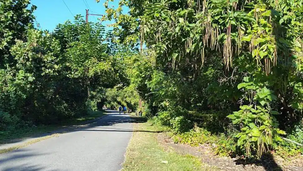 A part of the Schuylkill River Trail cuts through Whitpain Township.