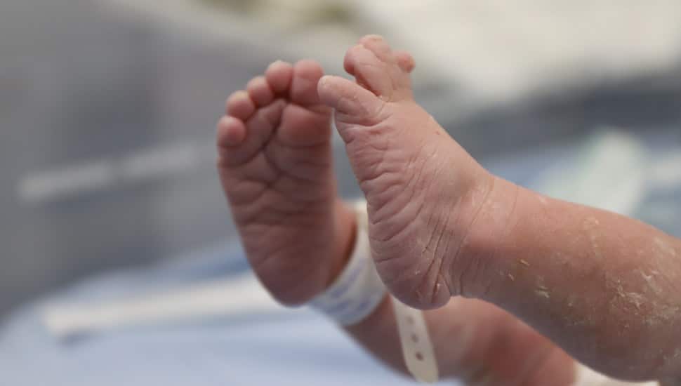 A newborn baby's feet in the NICU.