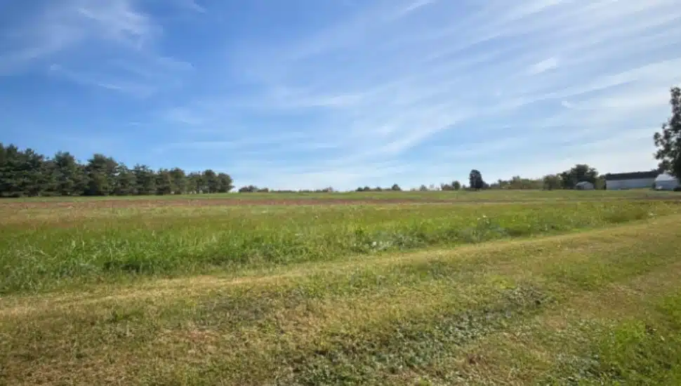 Lower Salford's Allebach Farm.