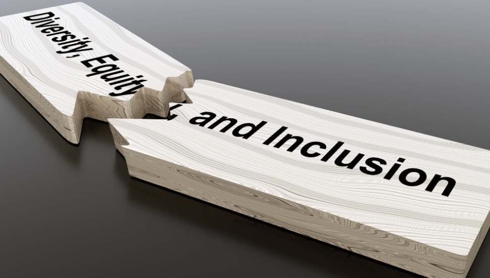 "Diversity, Equity, and Inclusion' written on a broken wood plank.