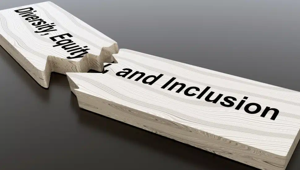 "Diversity, Equity, and Inclusion' written on a broken wood plank.