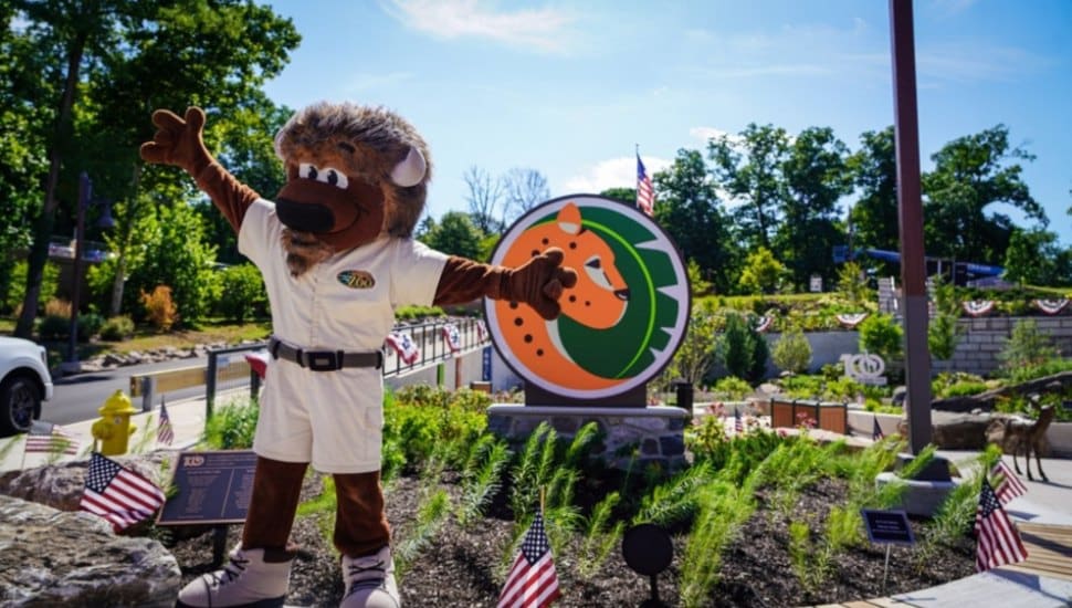 Standing amidst a display of American flags, Elmwood Park Zoo mascot Bubby the Bison greets guests with offers of free admission on three summer holidays.