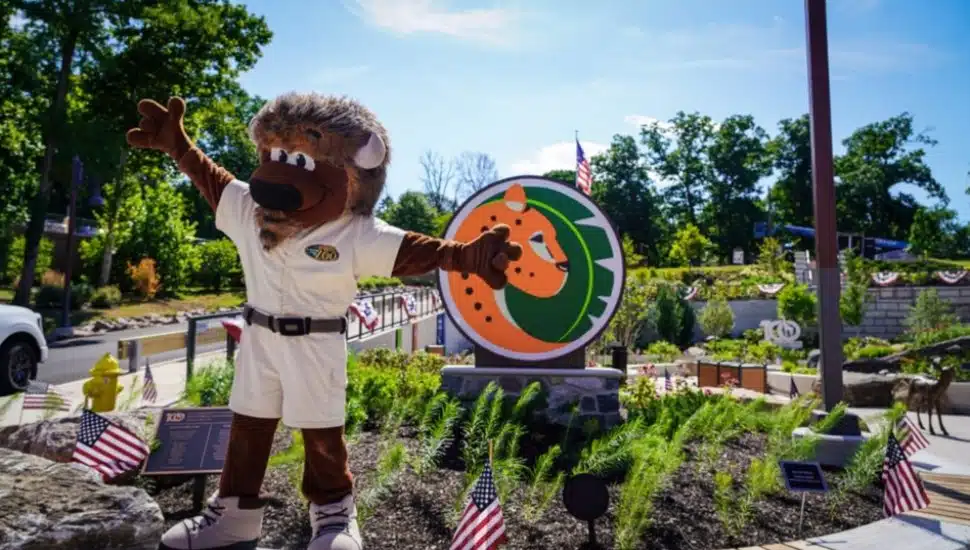 Standing amidst a display of American flags, Elmwood Park Zoo mascot Bubby the Bison greets guests with offers of free admission on three summer holidays.