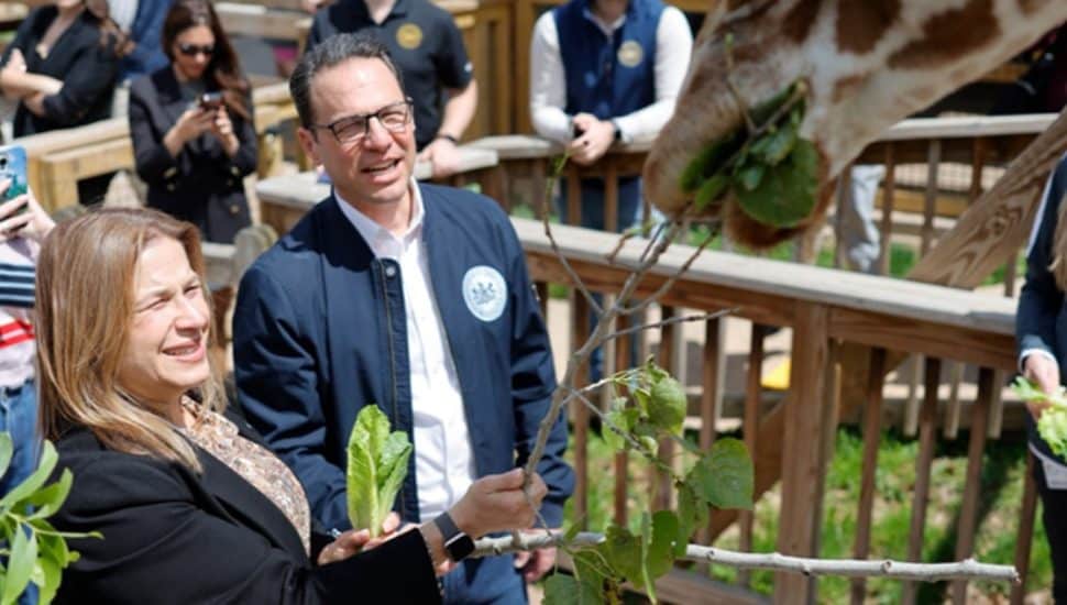 Governor Josh Shapiro and First Lady Lori Shapiro feed Dhoruba the giraffe during their tour of Elmwood Park Zoo in Norristown on May 16, 2026.