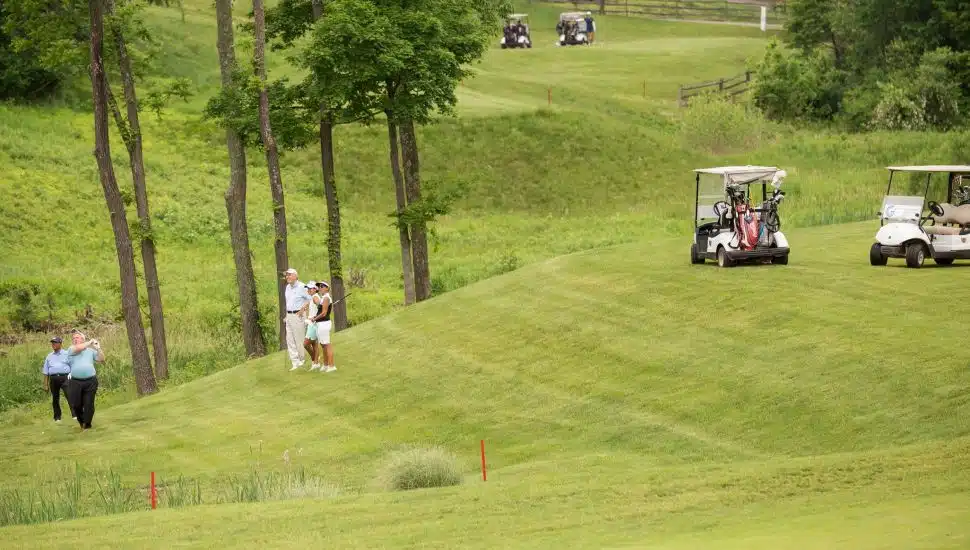 golf course filled with carts and players on the green.