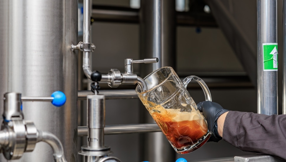 A brewer pours beer into a pint glass.