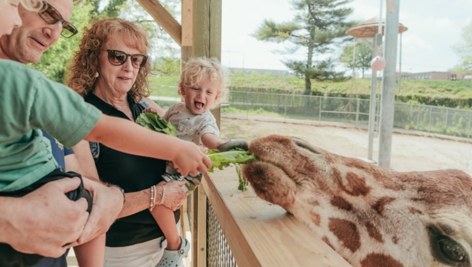 A family feeds a giraffe some lettuce at Norristown's Elmwood Park Zoo.