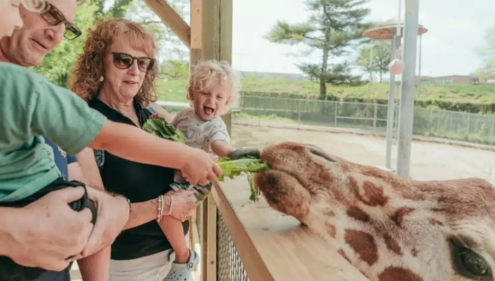 The Norristown Zoo That Almost Closed Is Now Building for Its Next 100 Years