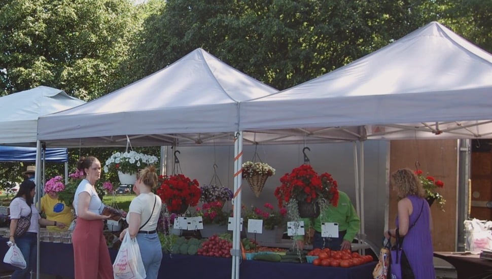 Locals browse vendors at the Bala Cynwyd Farmers Market.