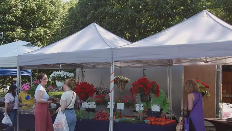 Bala Cynwyd Farmers Market Returns This Week with Local Vendors and Live Music