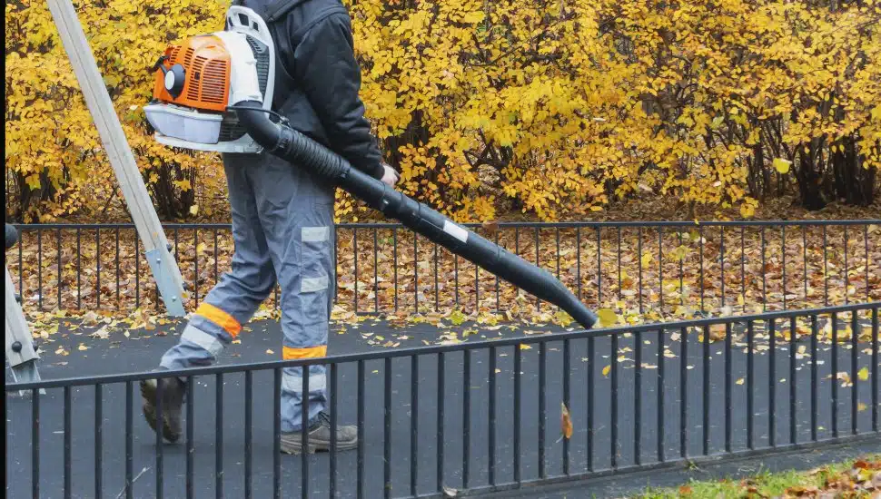 Lower Merion Banned Gas-Powered Leaf Blowers. Now Residents Are Fighting Over What That Really Means.