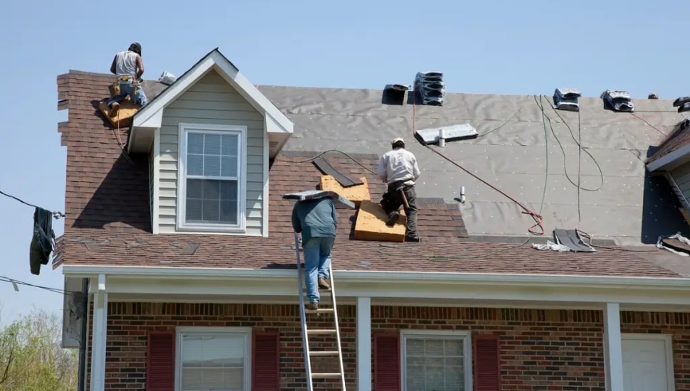 Roofing contractors replace shingles on a residential home, with workers on the roof and a ladder propped against the exterior.