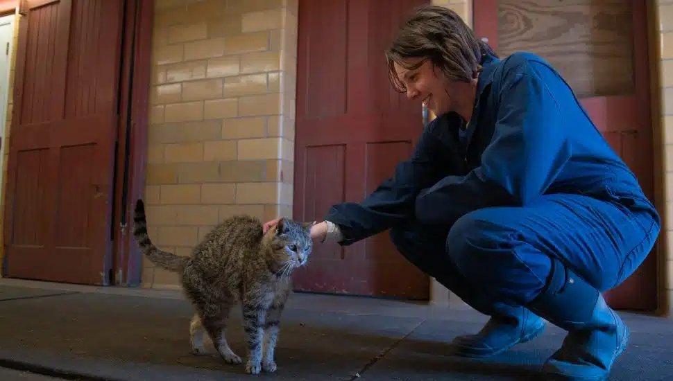 She Ran a Pretzel Shop. Then Manor College Helped Her Find Her True Calling in Veterinary Technology.